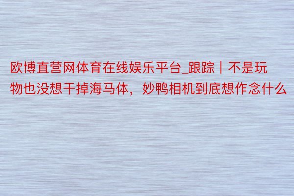 欧博直营网体育在线娱乐平台_跟踪｜不是玩物也没想干掉海马体，妙鸭相机到底想作念什么