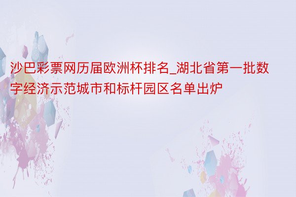 沙巴彩票网历届欧洲杯排名_湖北省第一批数字经济示范城市和标杆园区名单出炉