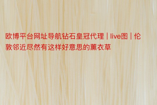 欧博平台网址导航钻石皇冠代理 | live图 | 伦敦邻近尽然有这样好意思的薰衣草